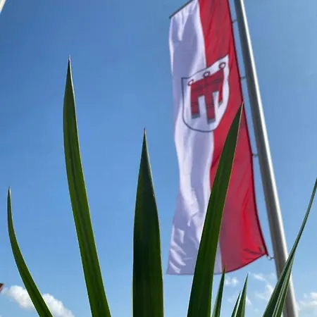 Guest house Wilma 3*